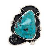 Sterling Silver Turquoise Freeform Signed Ring